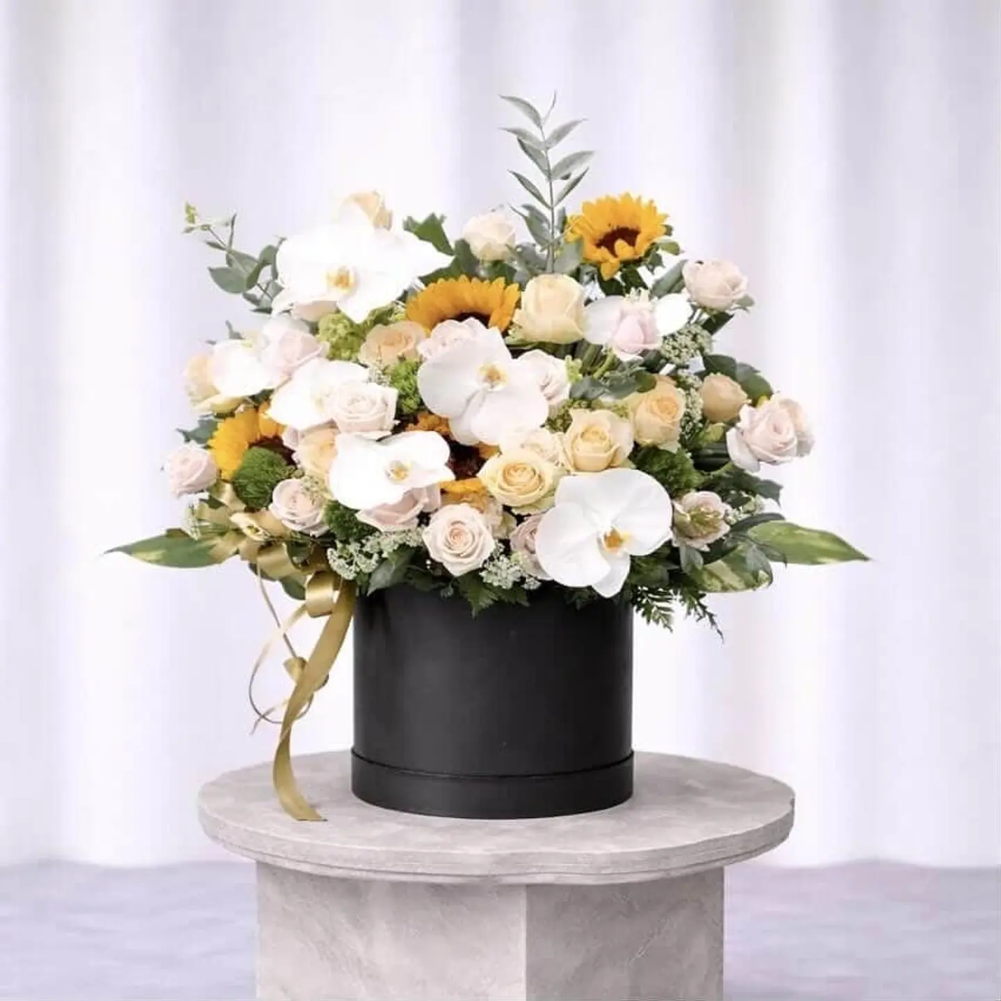 بوكس بروفانس