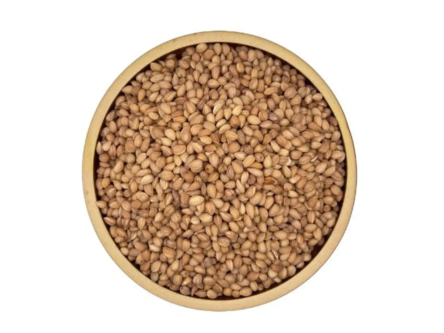 1000g Mahlab Seeds