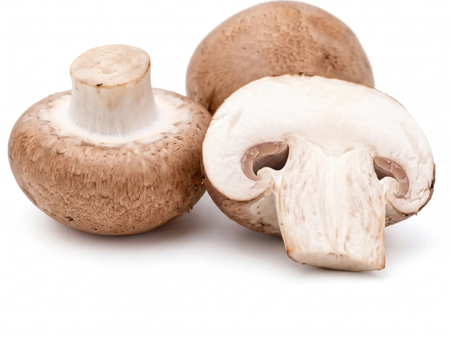 Mushroom