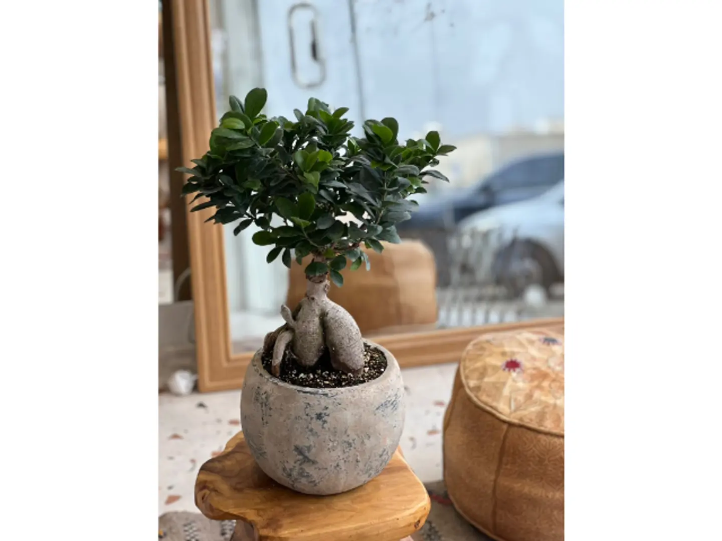 Vase With Artificial Stone