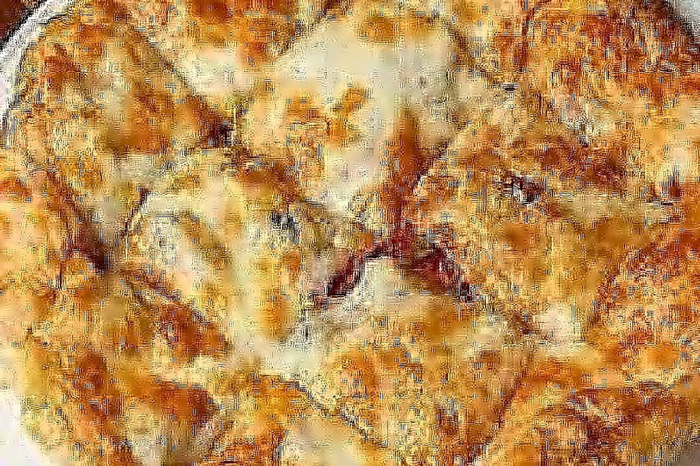 Mixed Cheese Oriental Pie