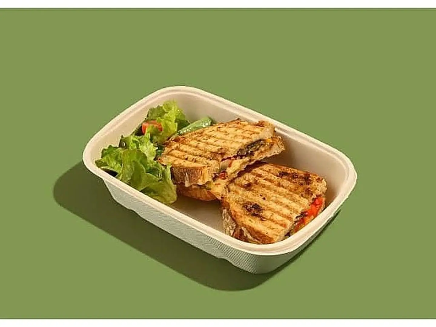 Melted Vegetable Sandwich