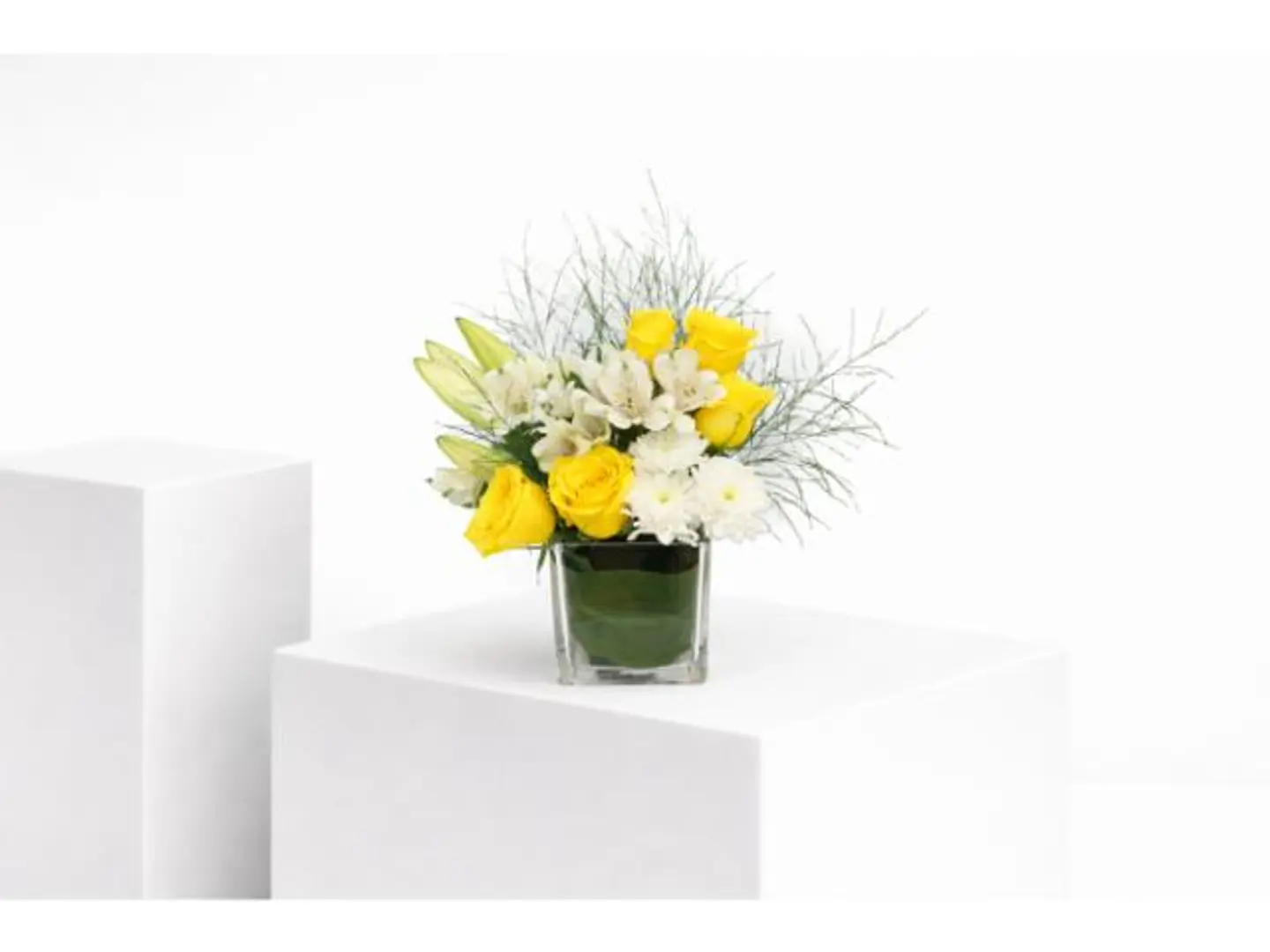 فازة الاعتذار