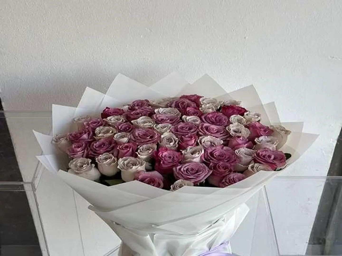 رونق الربيع