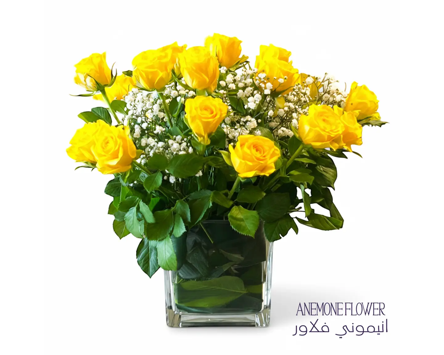 فازة شمس الأمل