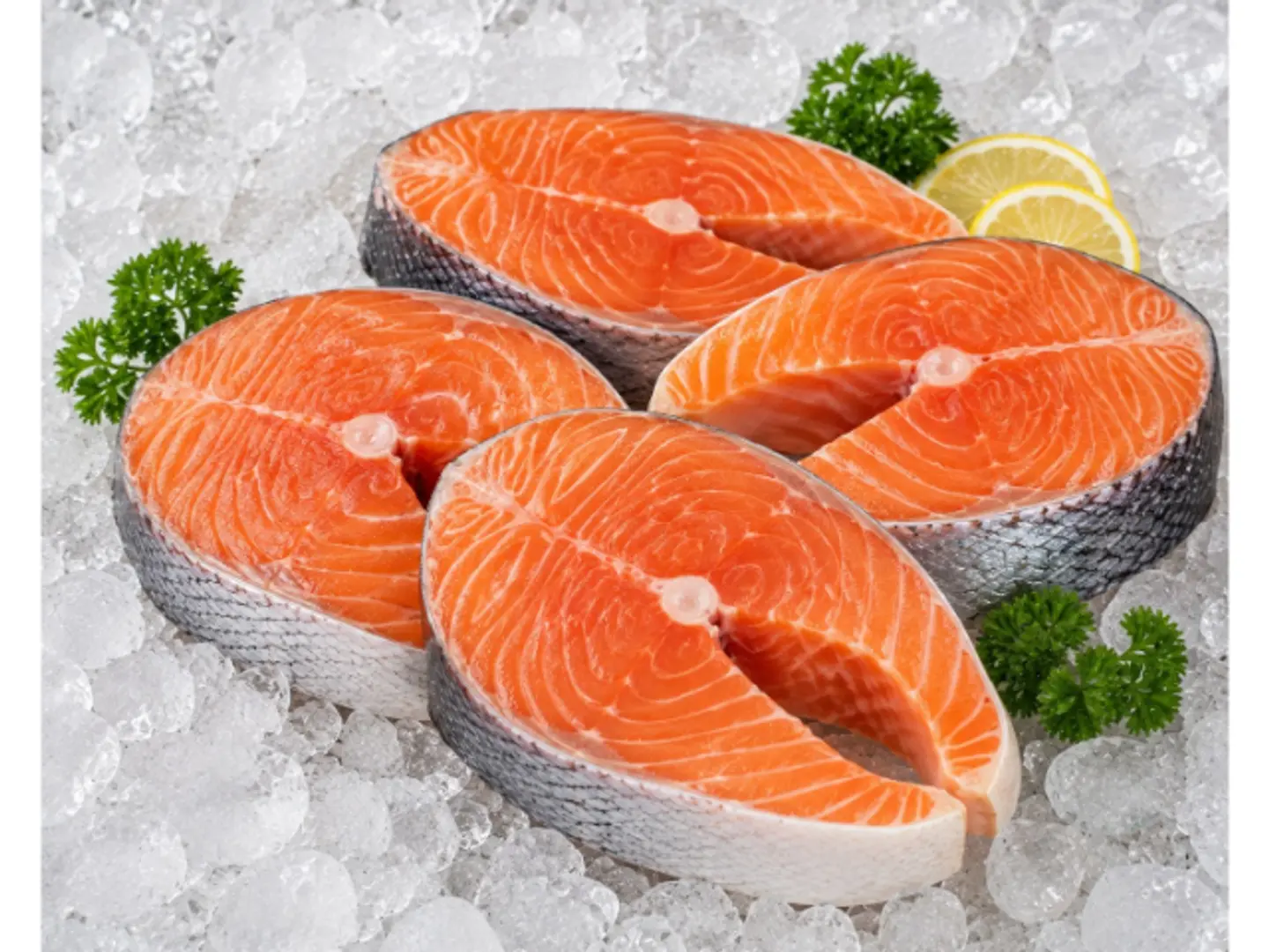 Salmon