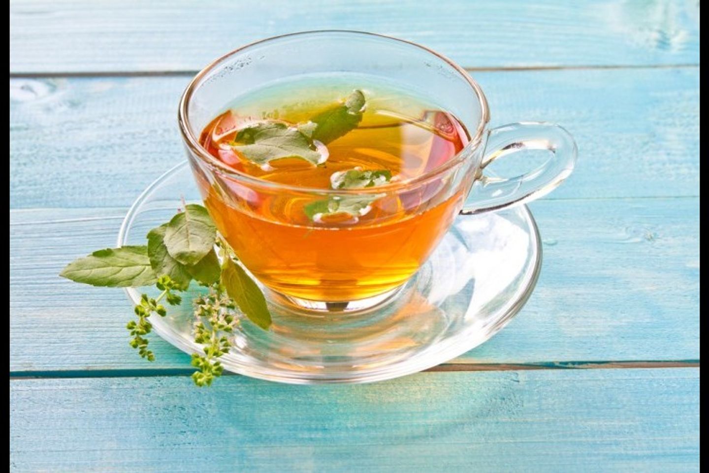شاي حبق