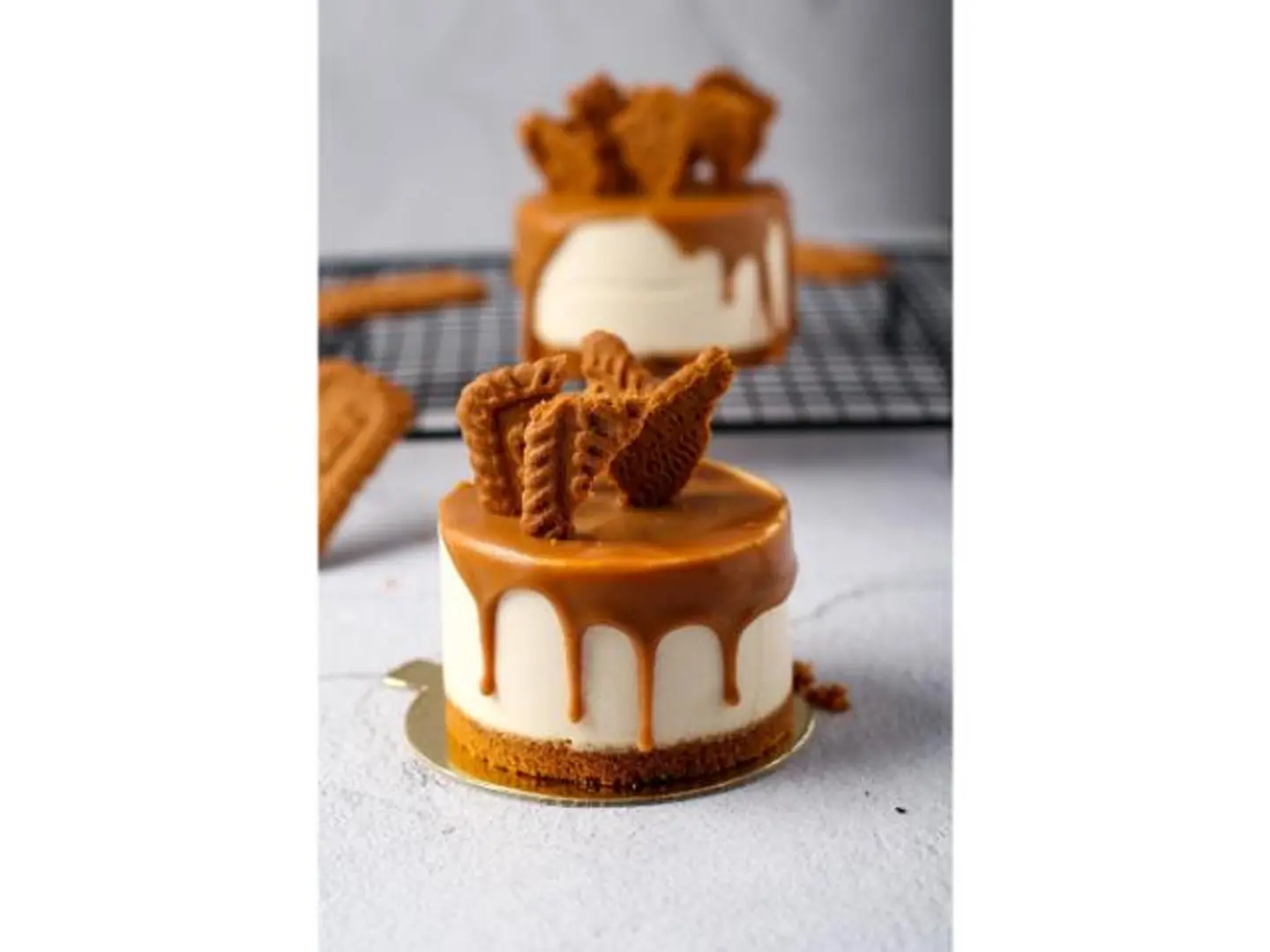 لوتس تشيز كيك