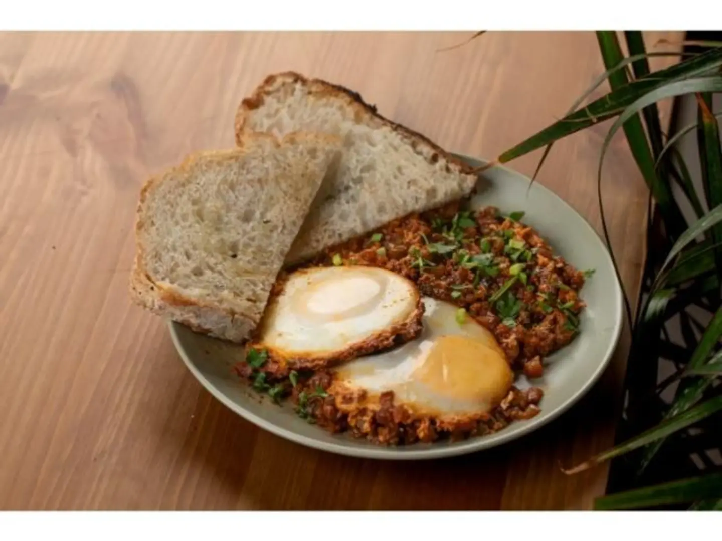 Turkish Shakshouka