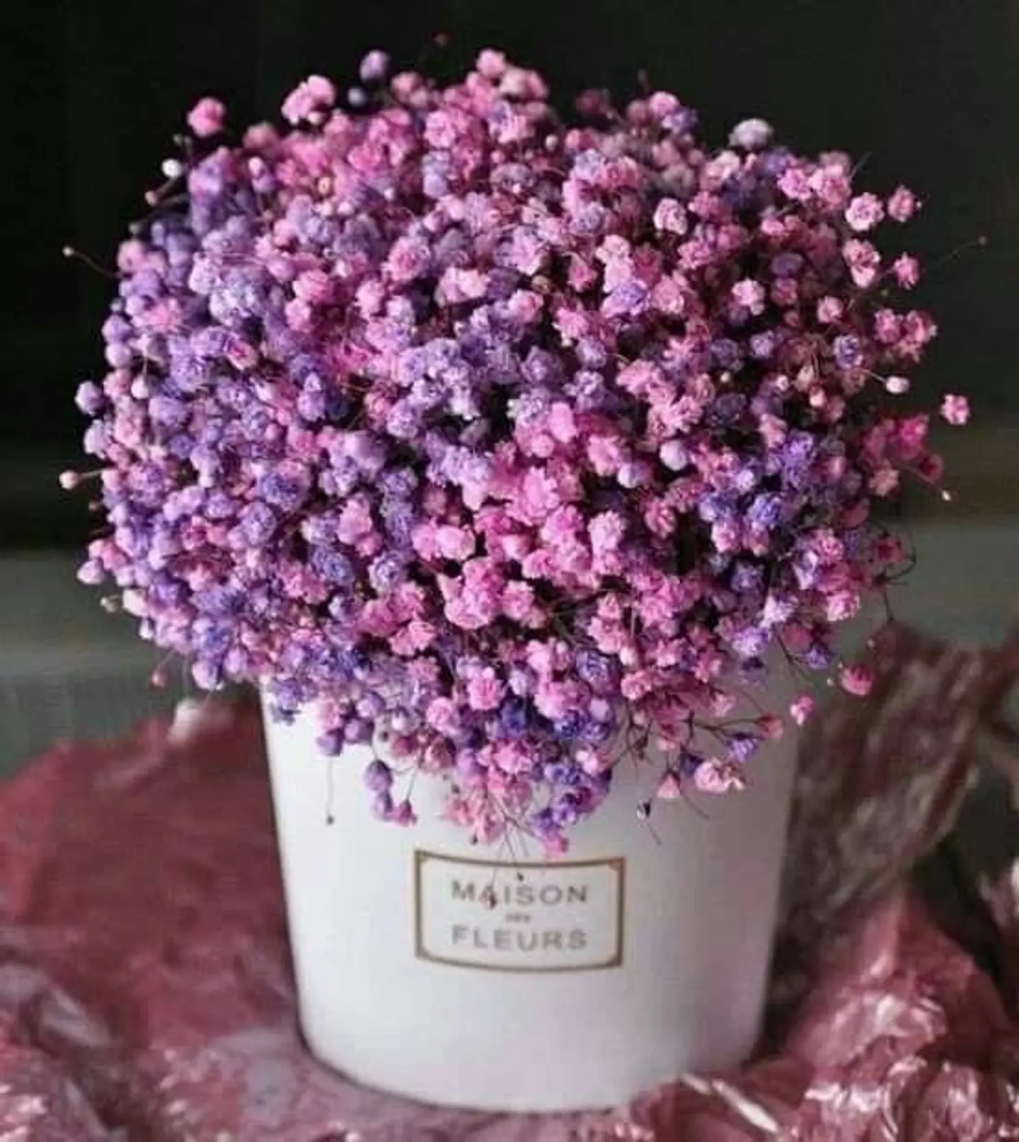 Purple Gypsophila Box