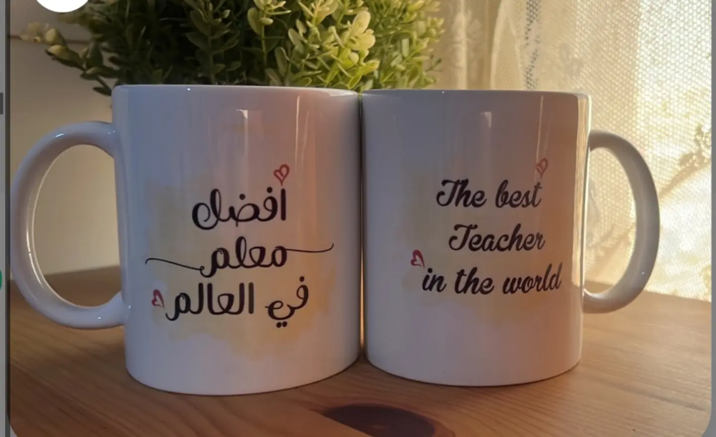 "Best Teacher In The World" Mug