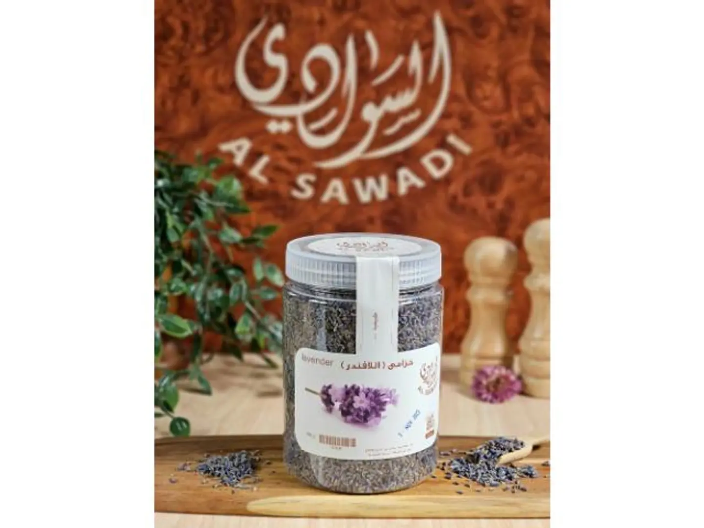 خزامى لافندر