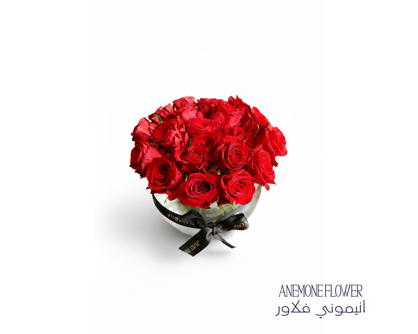 سحر الورد الأحمر