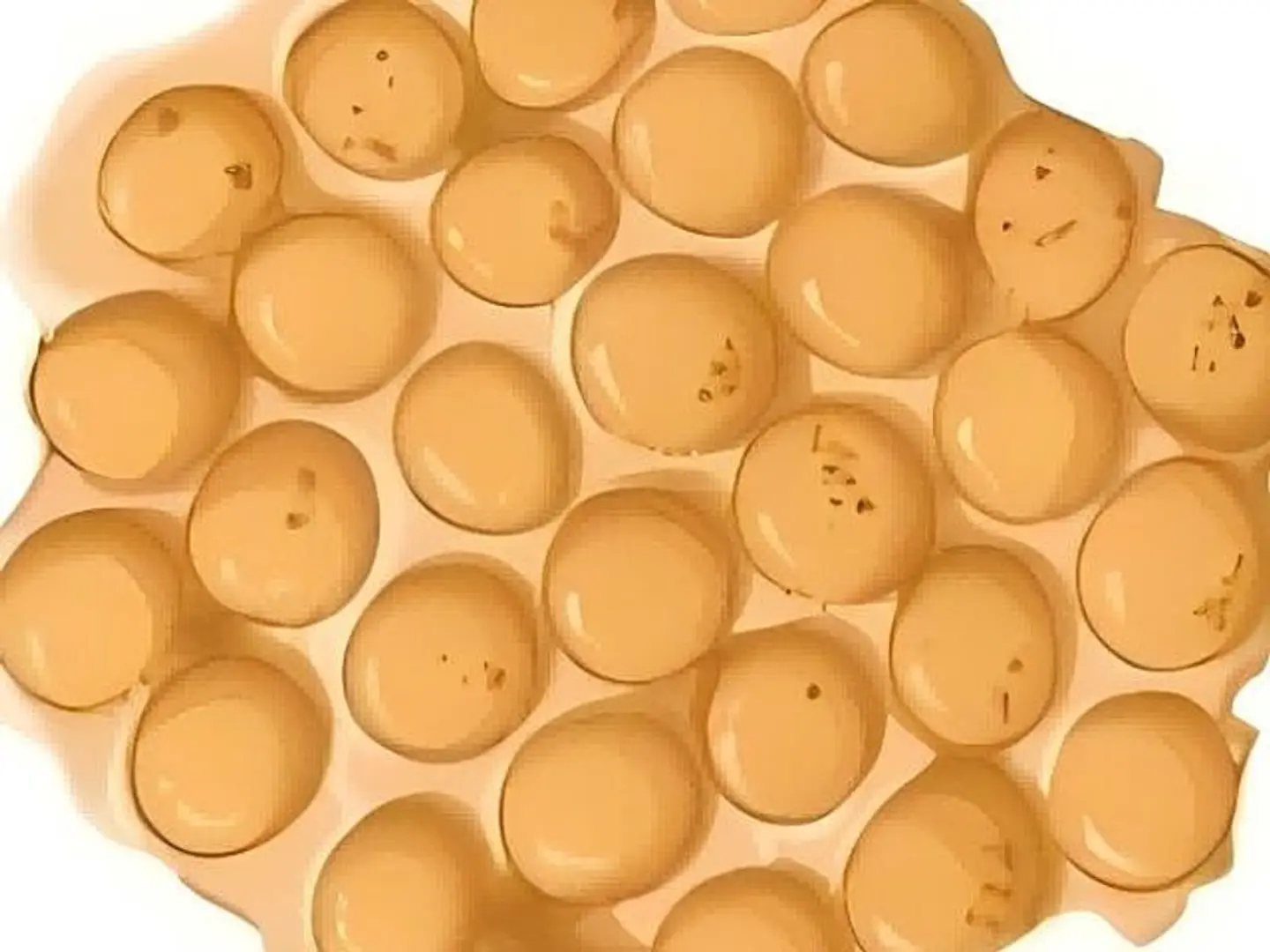 وافل بيض أصلي