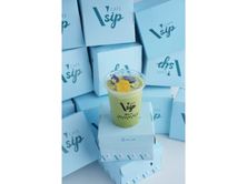 ماتشا