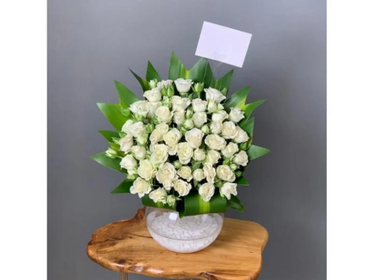 Baby Rose White Rose Vase