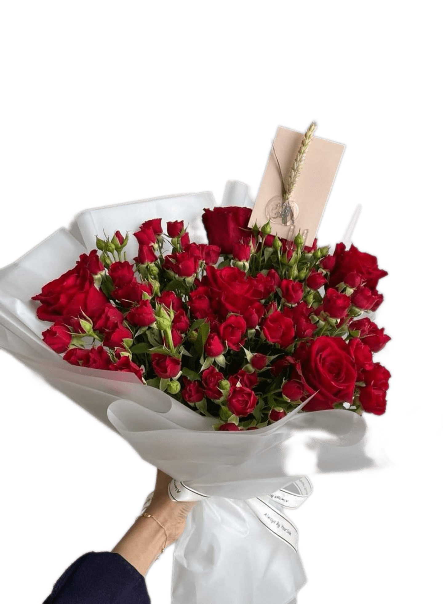 بكج الحب