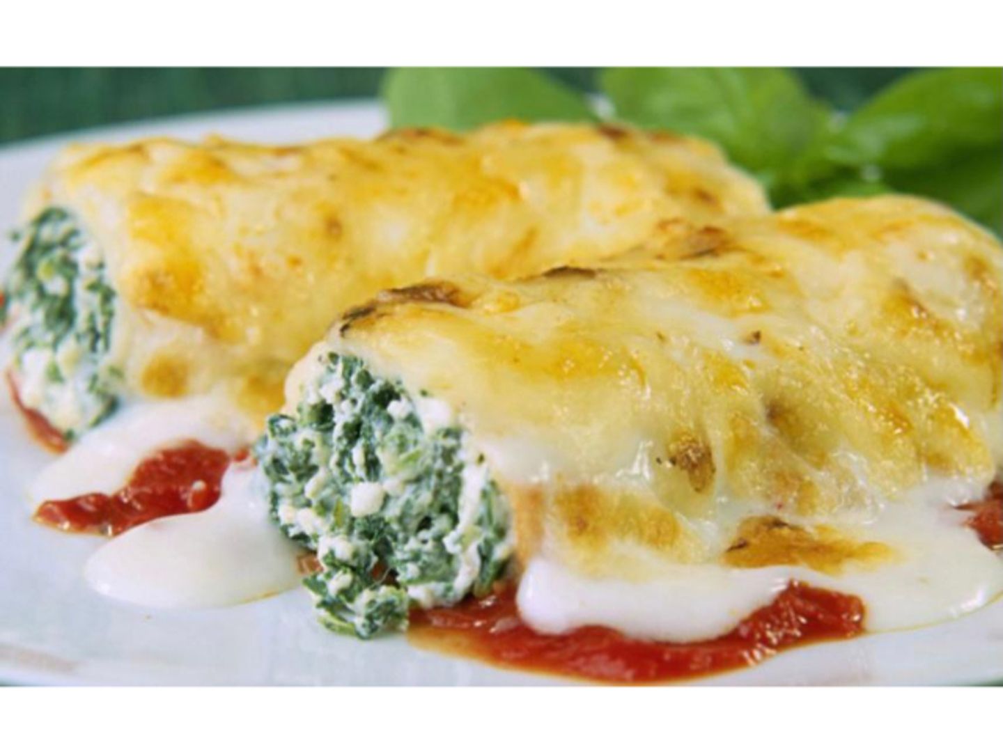 Cannelloni