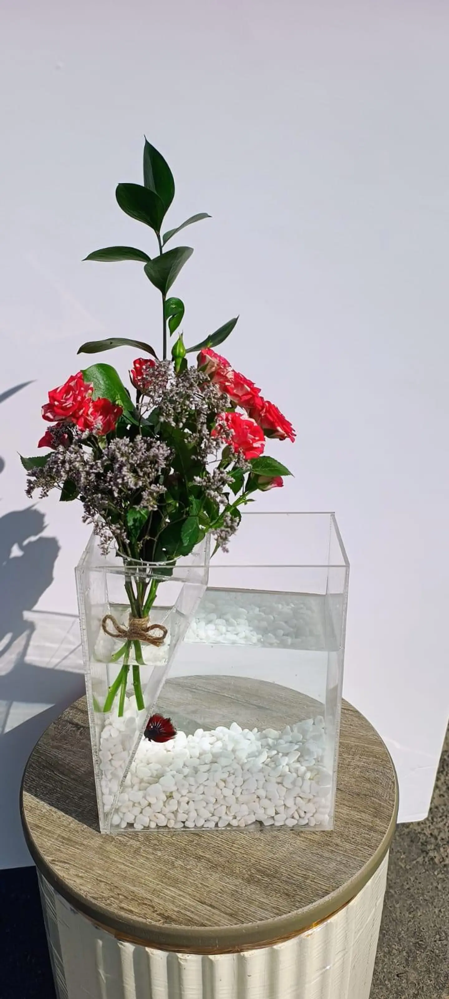 Acrylic Fish Tank