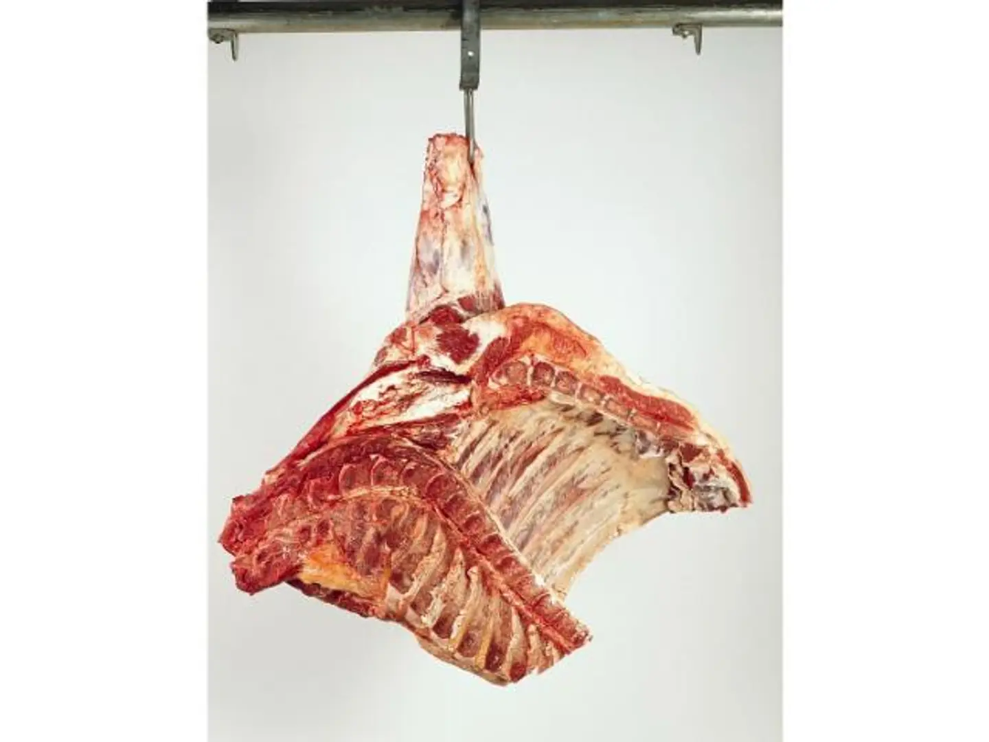 Quarter Local Naeimi Lamb