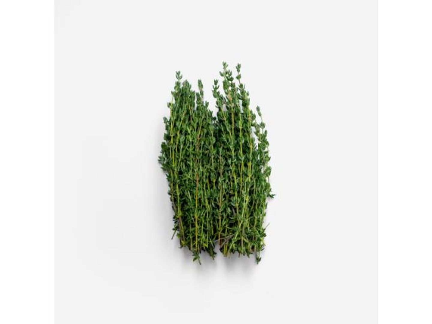 Thyme (Kenyan)