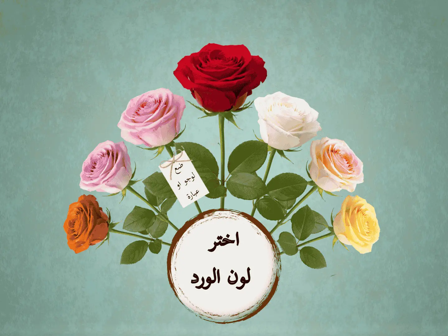 6 زهور جوري