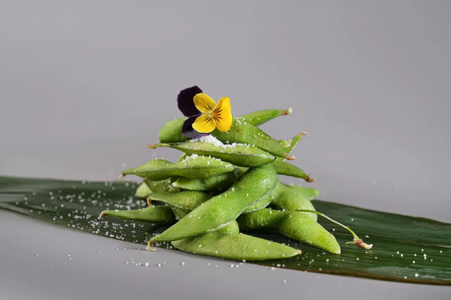 إدمامي مملح