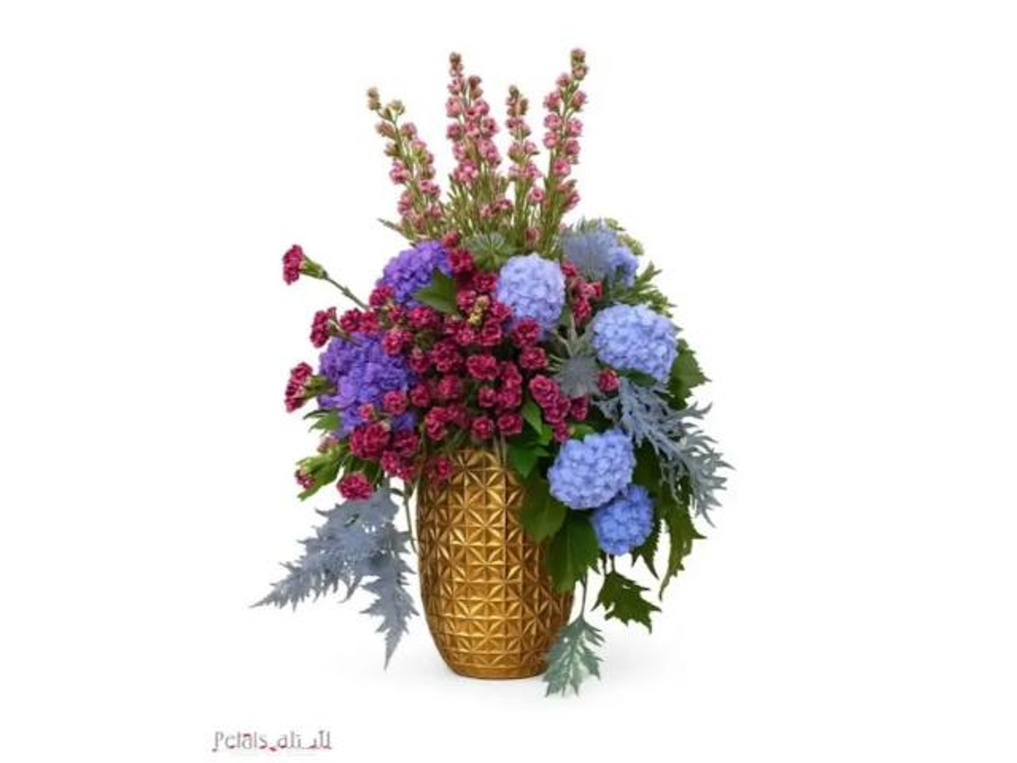 رويال هيدرانجا