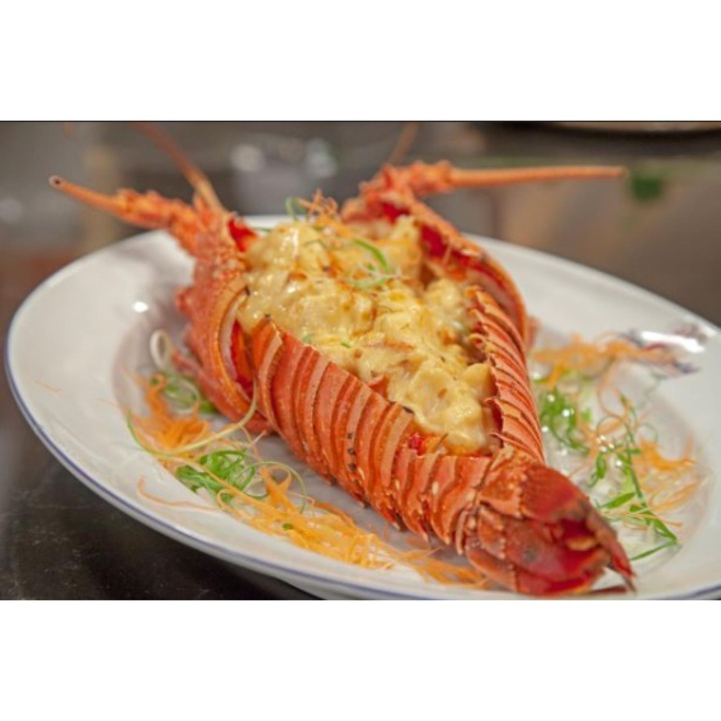 Lobster