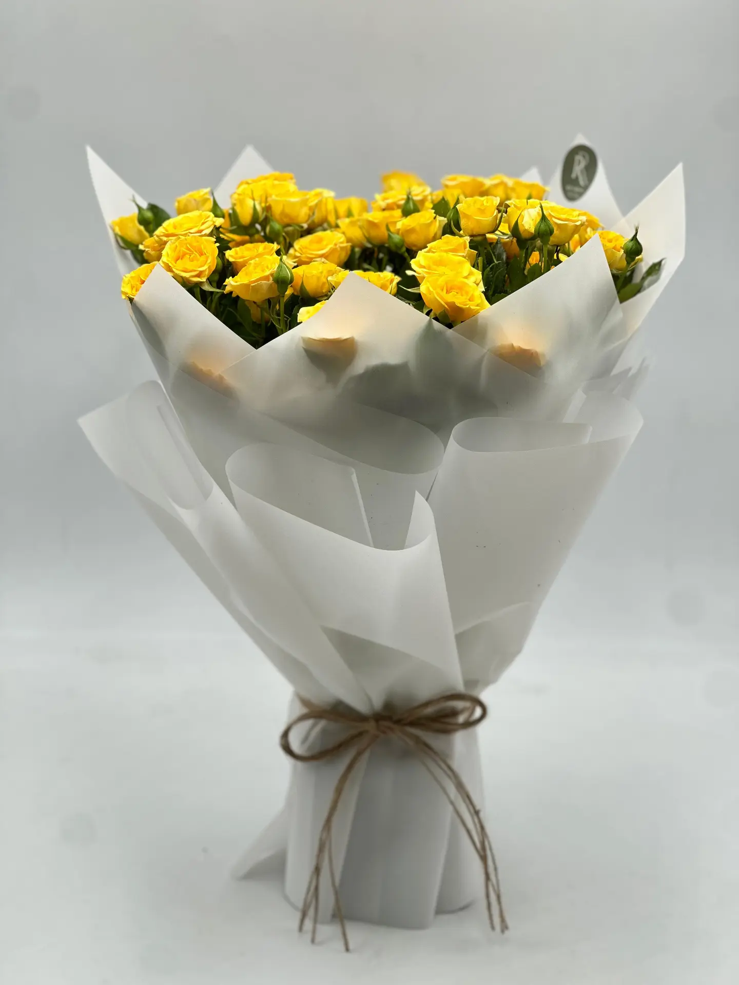 Yellow Al Reef Package 4