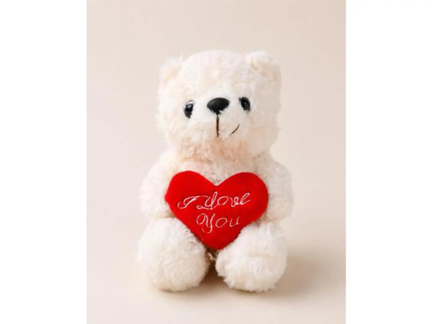White Teddy Bear