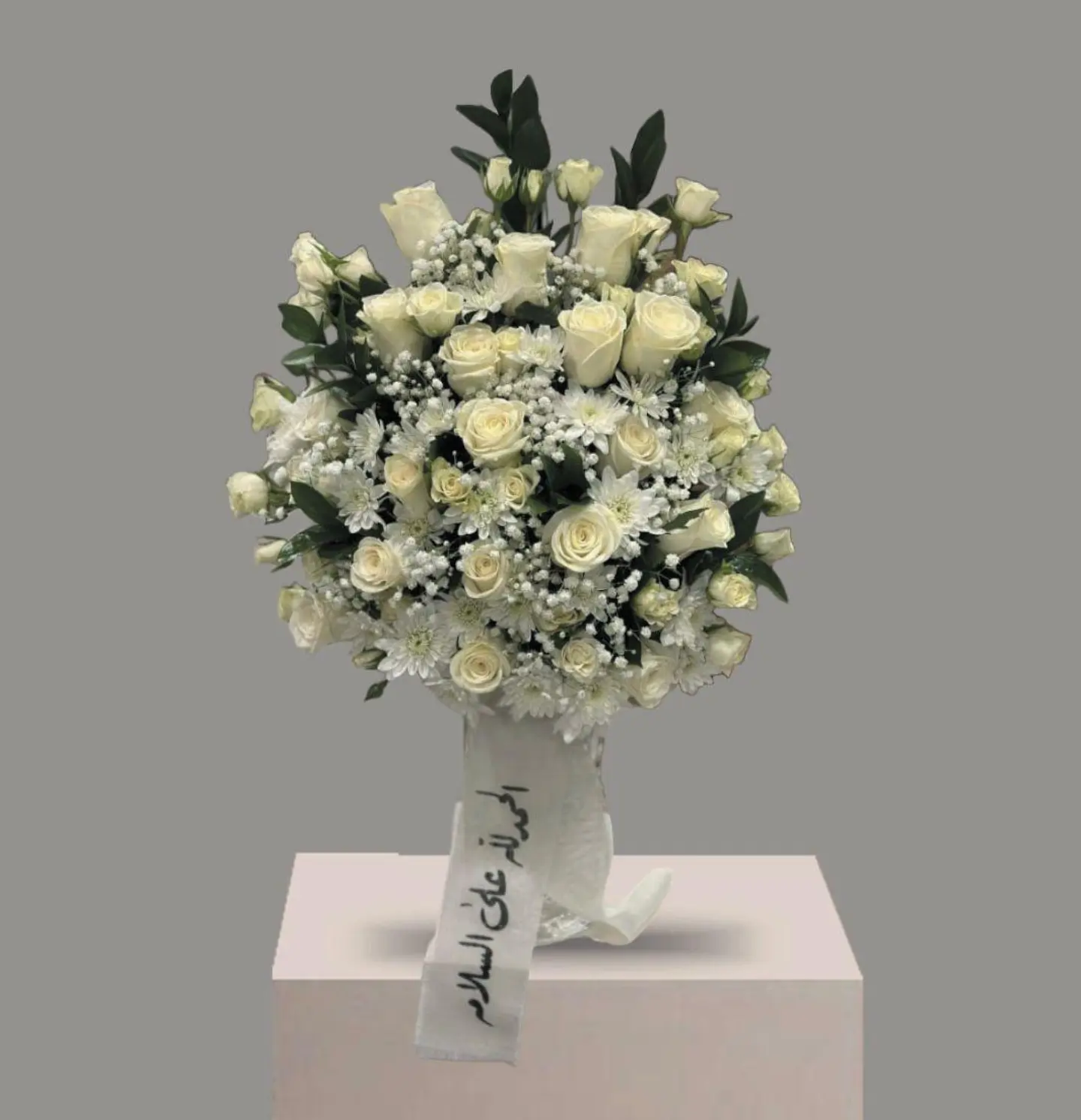 فازه السلامه ٥