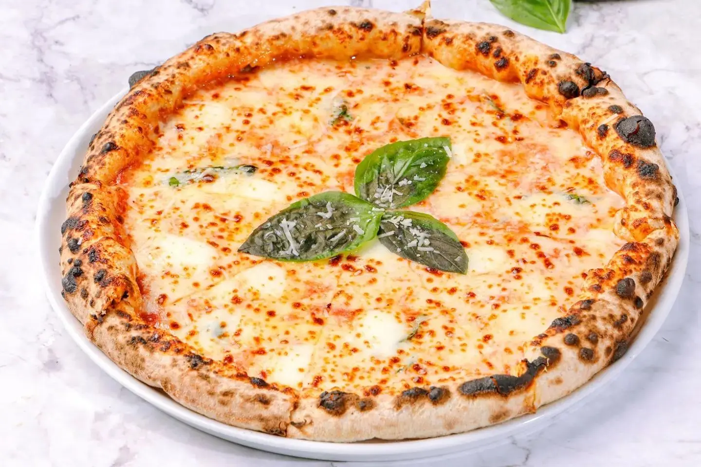 بيتزا الاجبان الثلاث