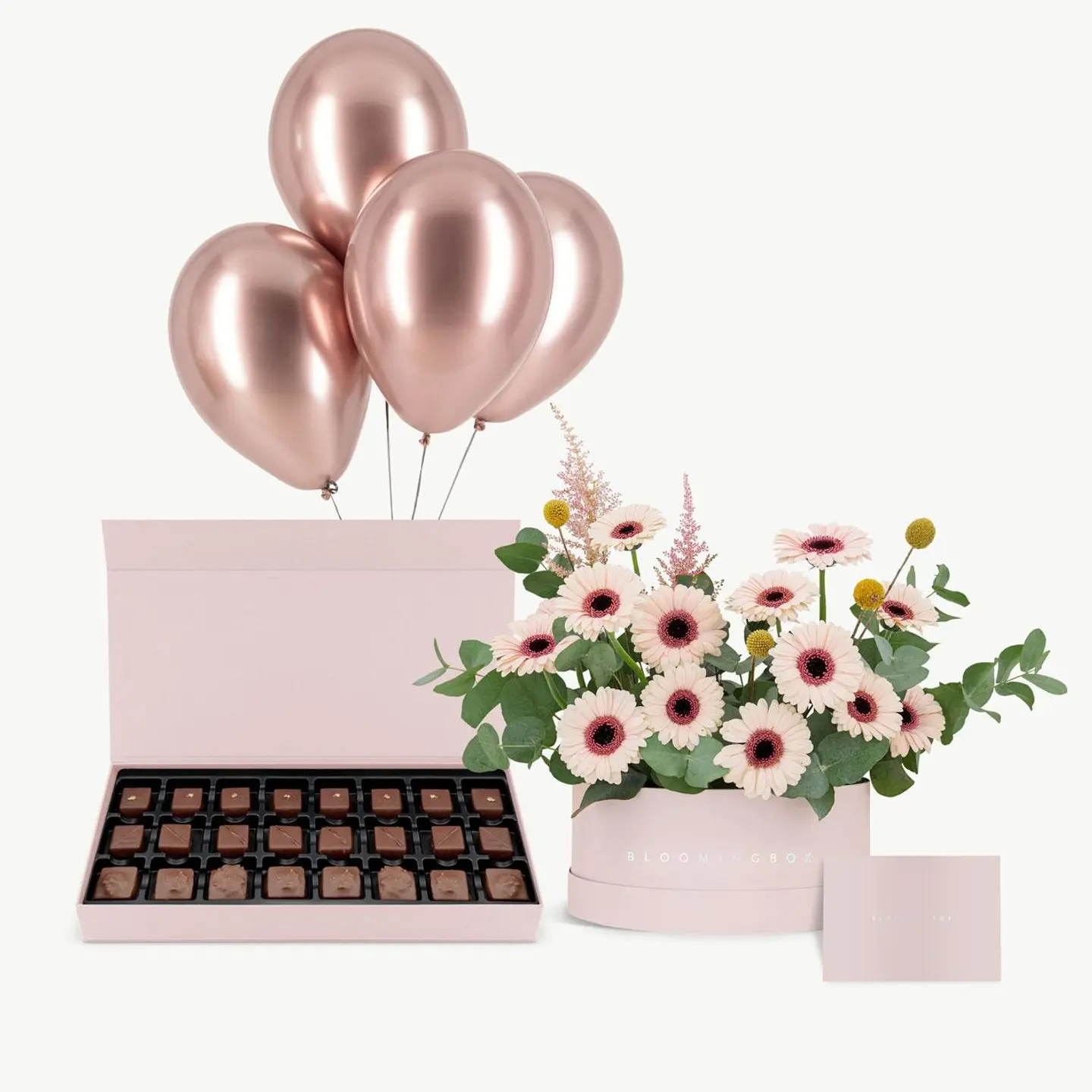 Soft Pink Short Assortment With Treats