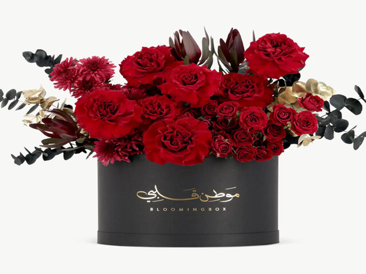 بوكس افوريا كبير