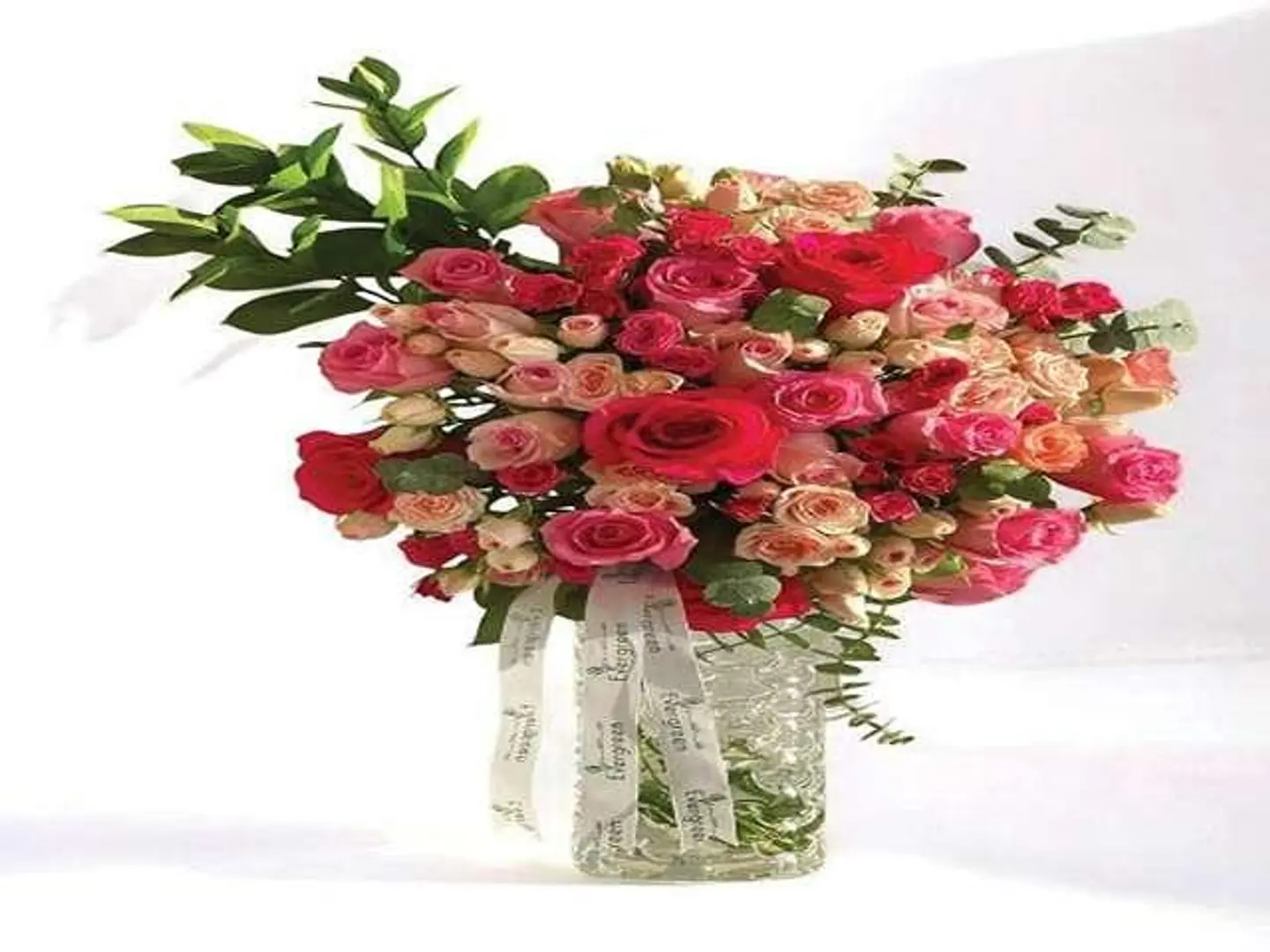 اف زيرو وان