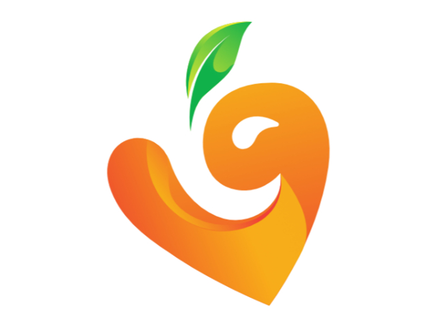 Watermelon Juice + Pieces