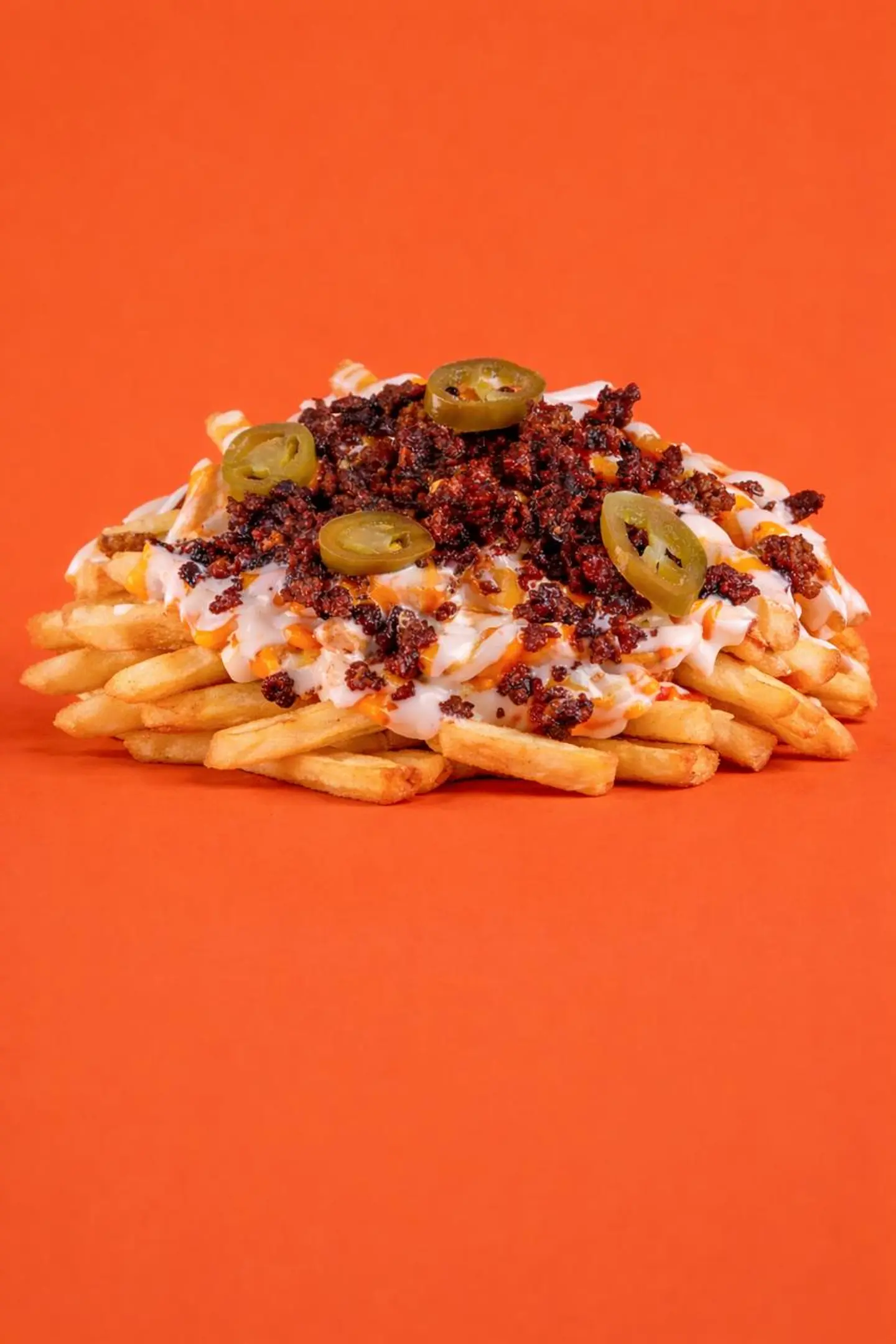 لوديد بيف فرايز