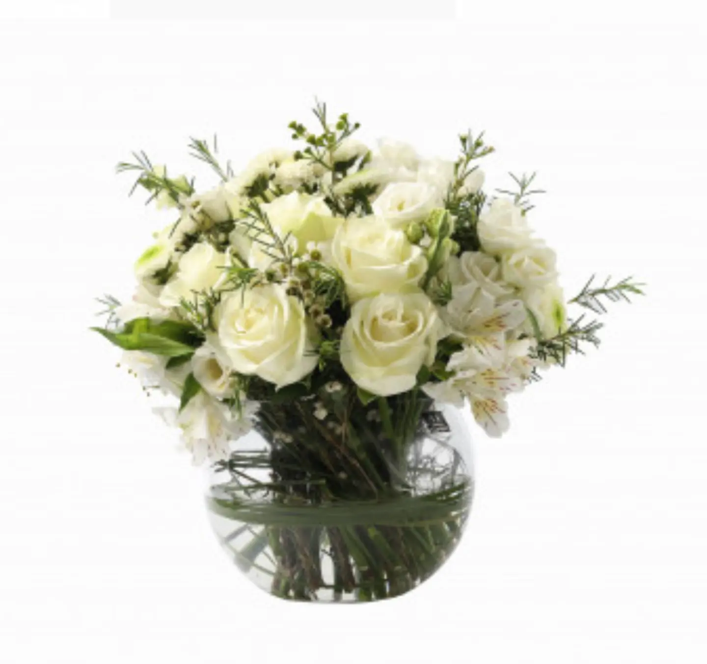 White Rose F8