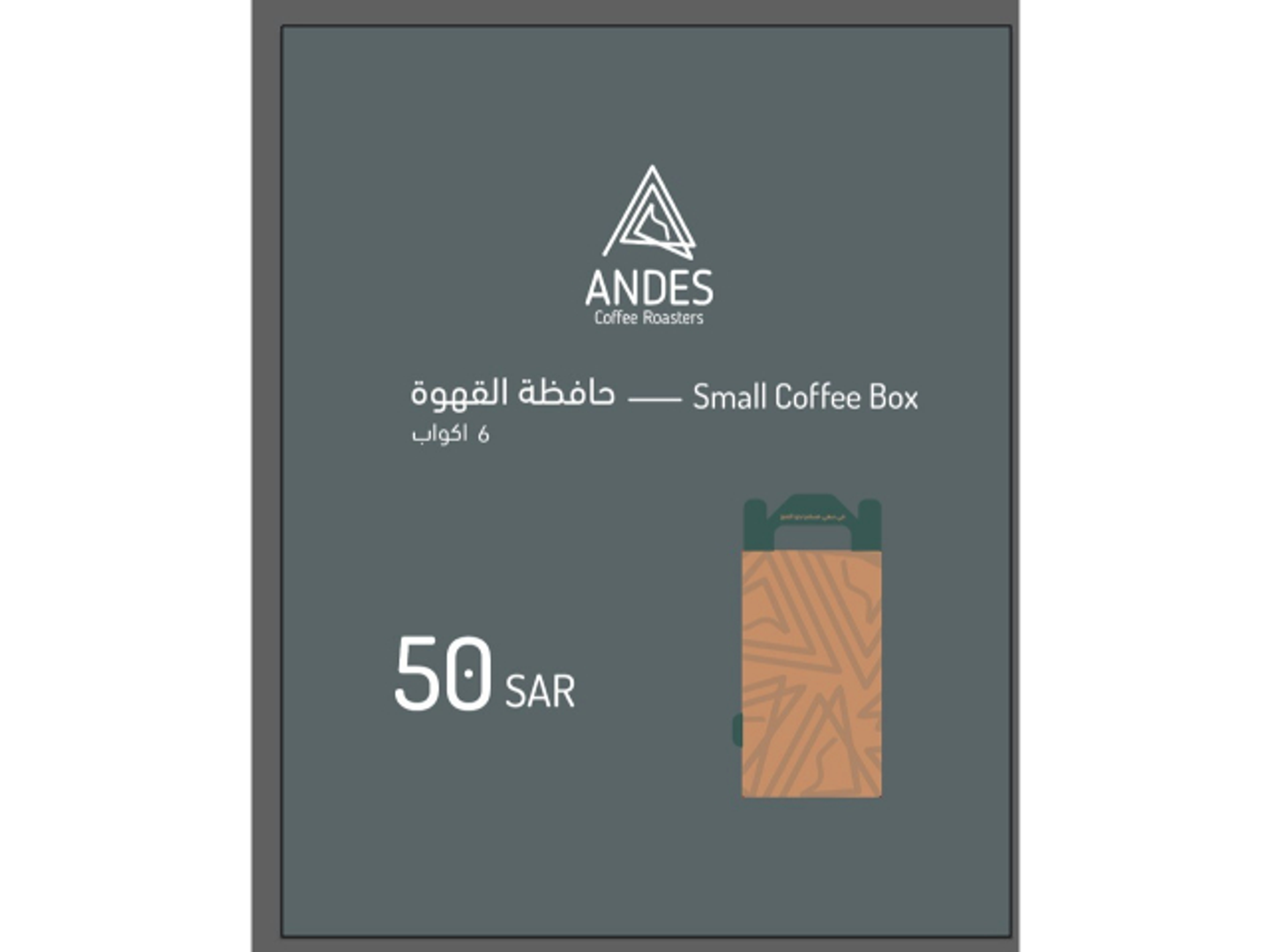 Today's Coffee Container, 6 Cups