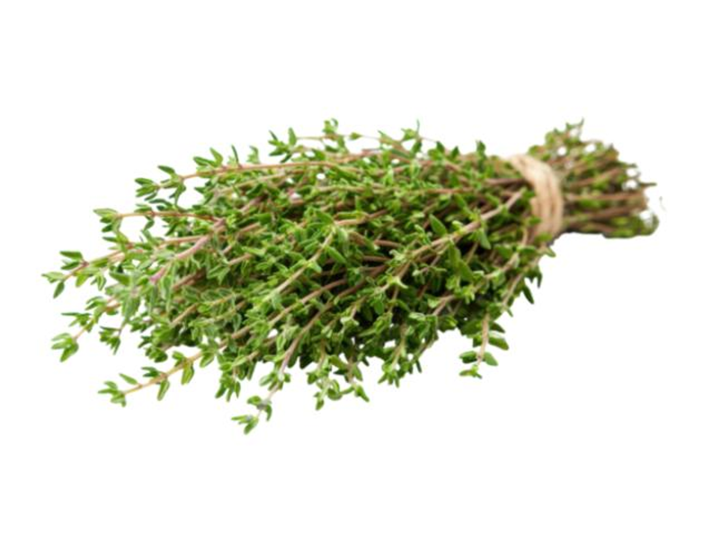 Thyme Herb