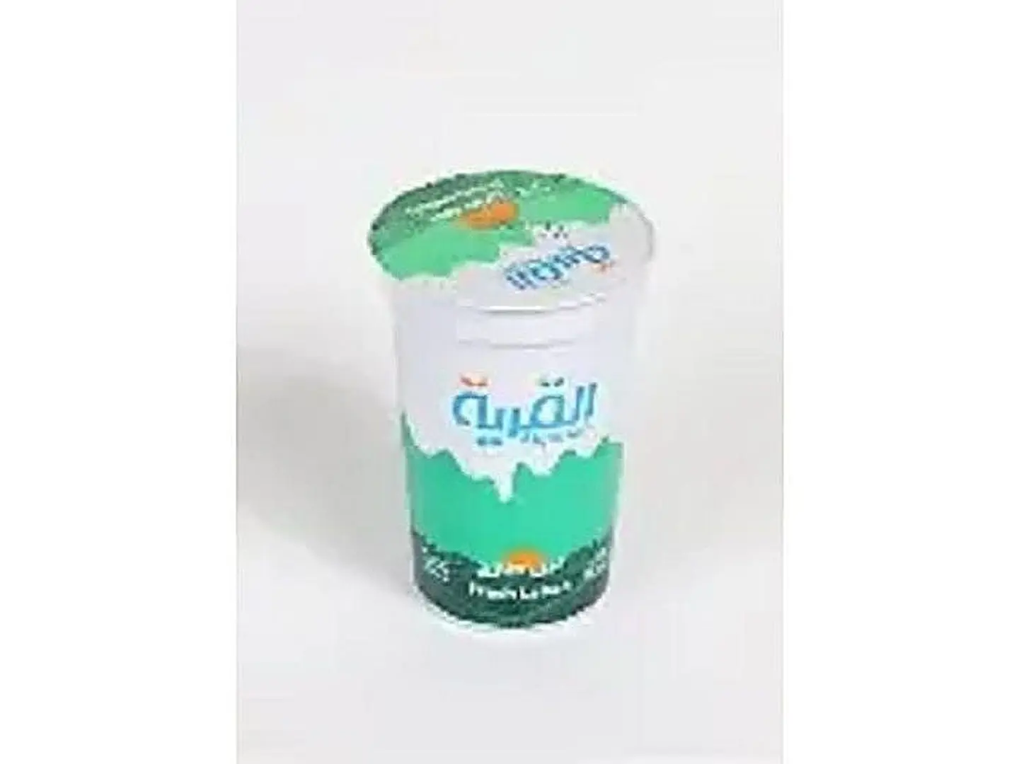 Village Yogurt