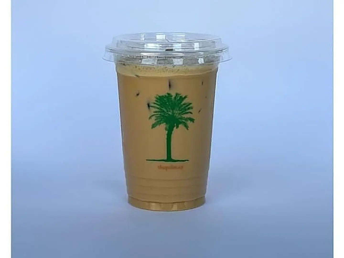 بالم سيجنتشر بارد
