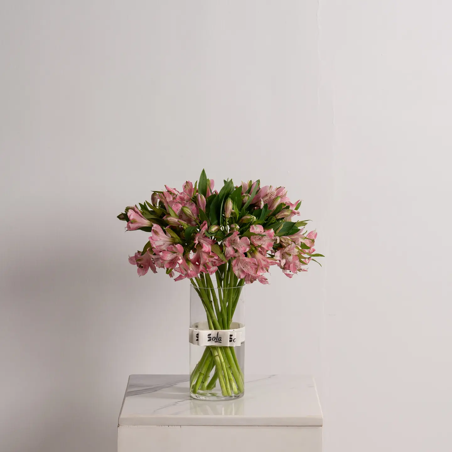 فازة استوماريا ساحرة