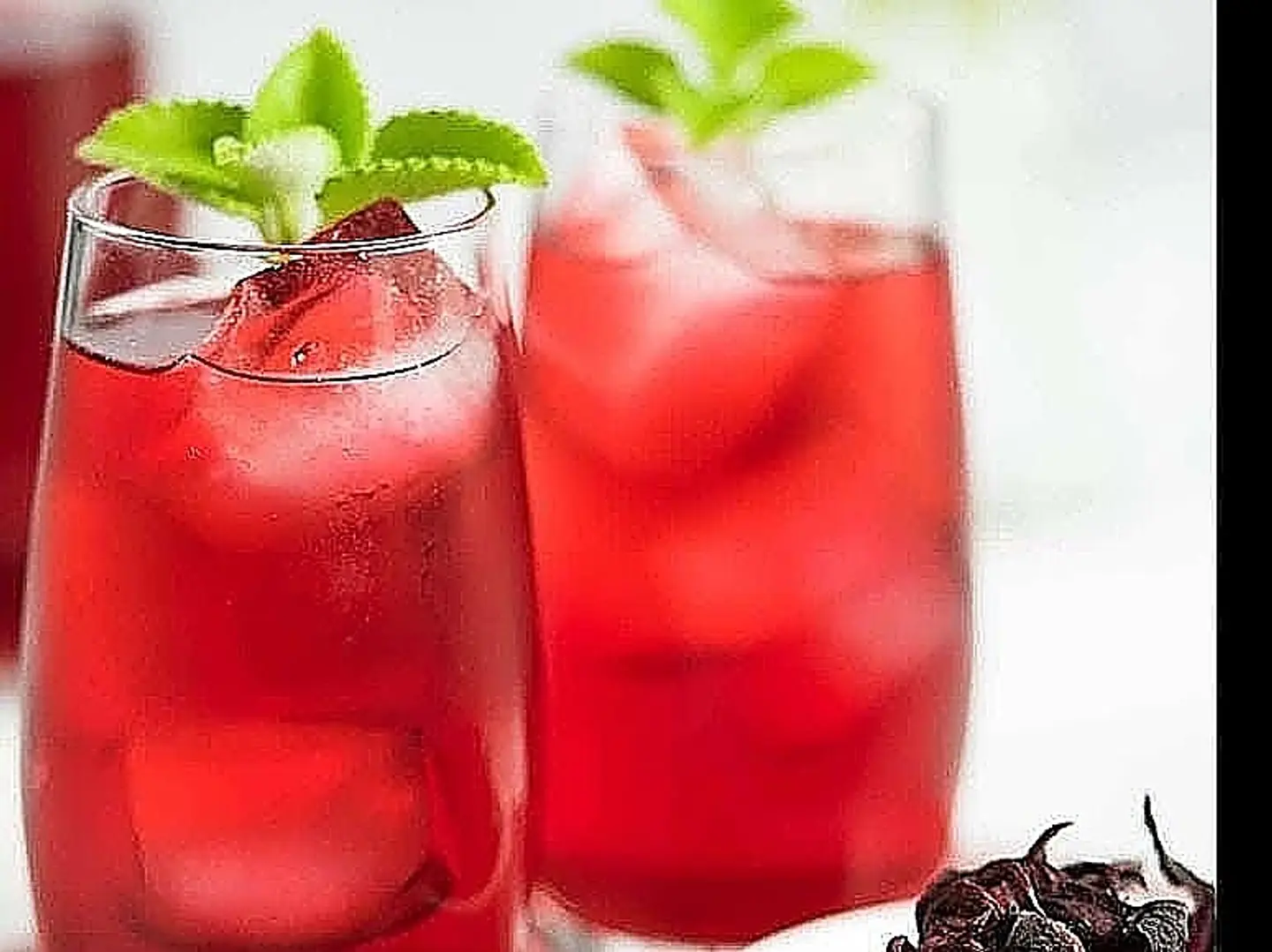 Hibiscus