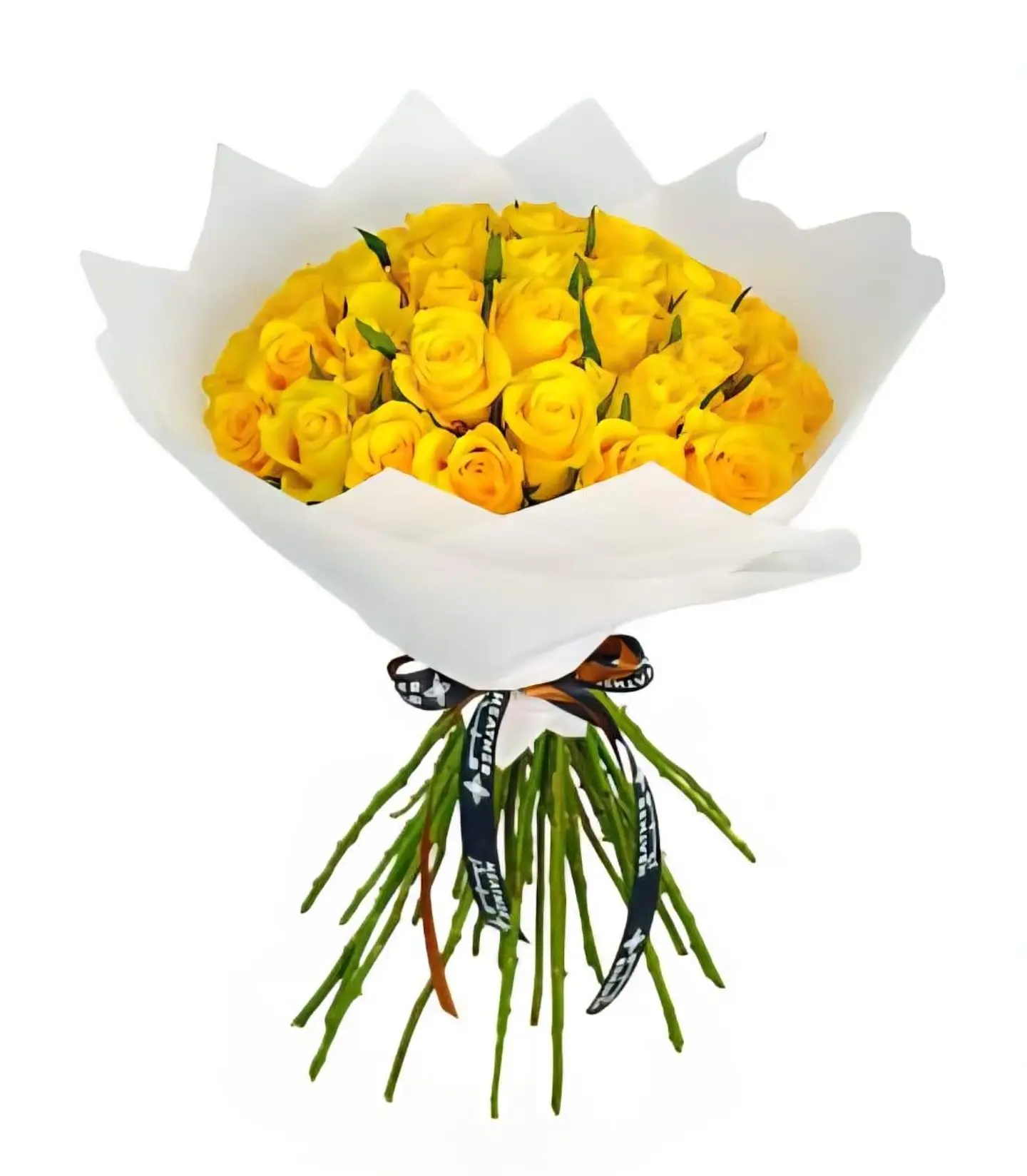 Serenity Package 1