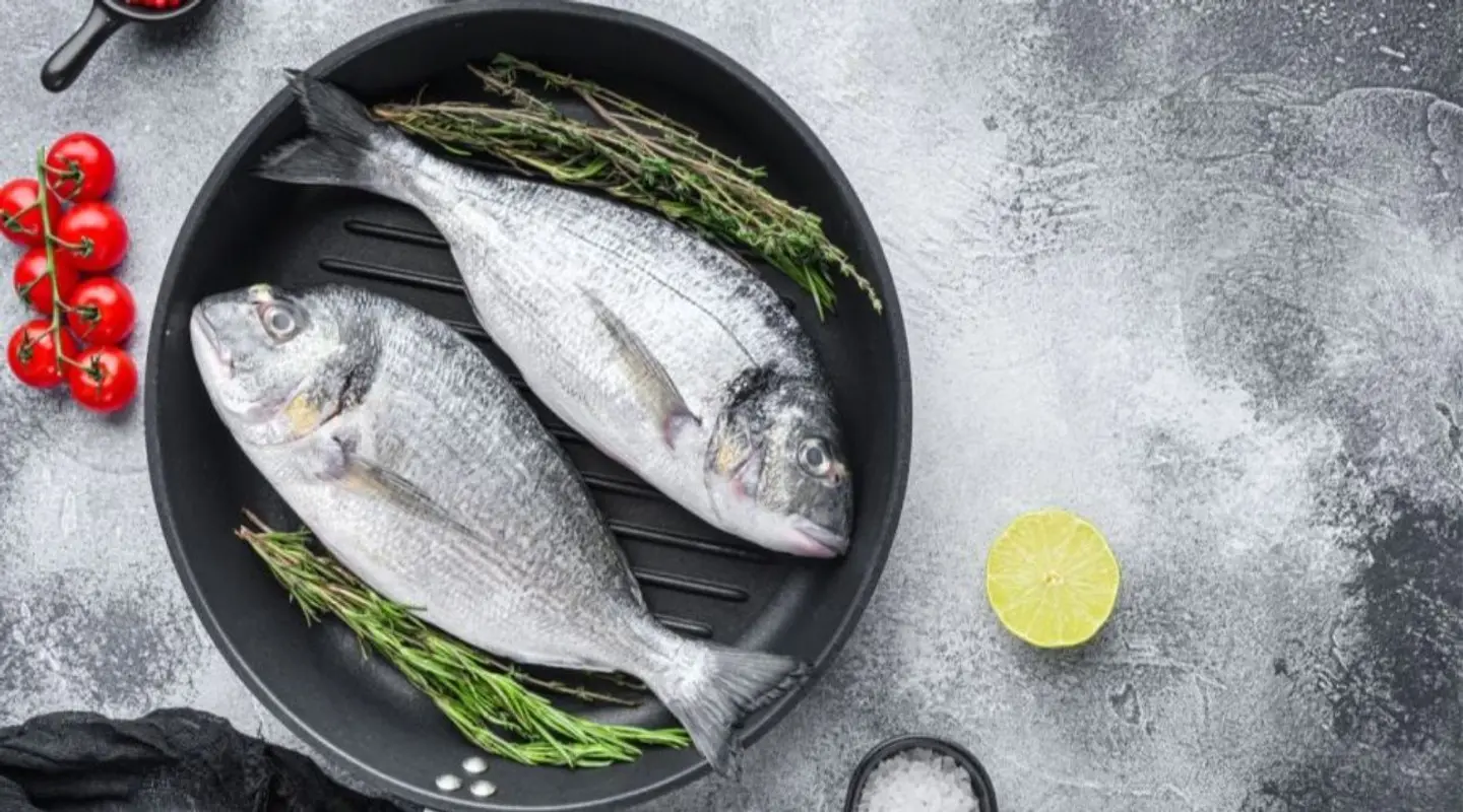 كيلو سمك دنيس