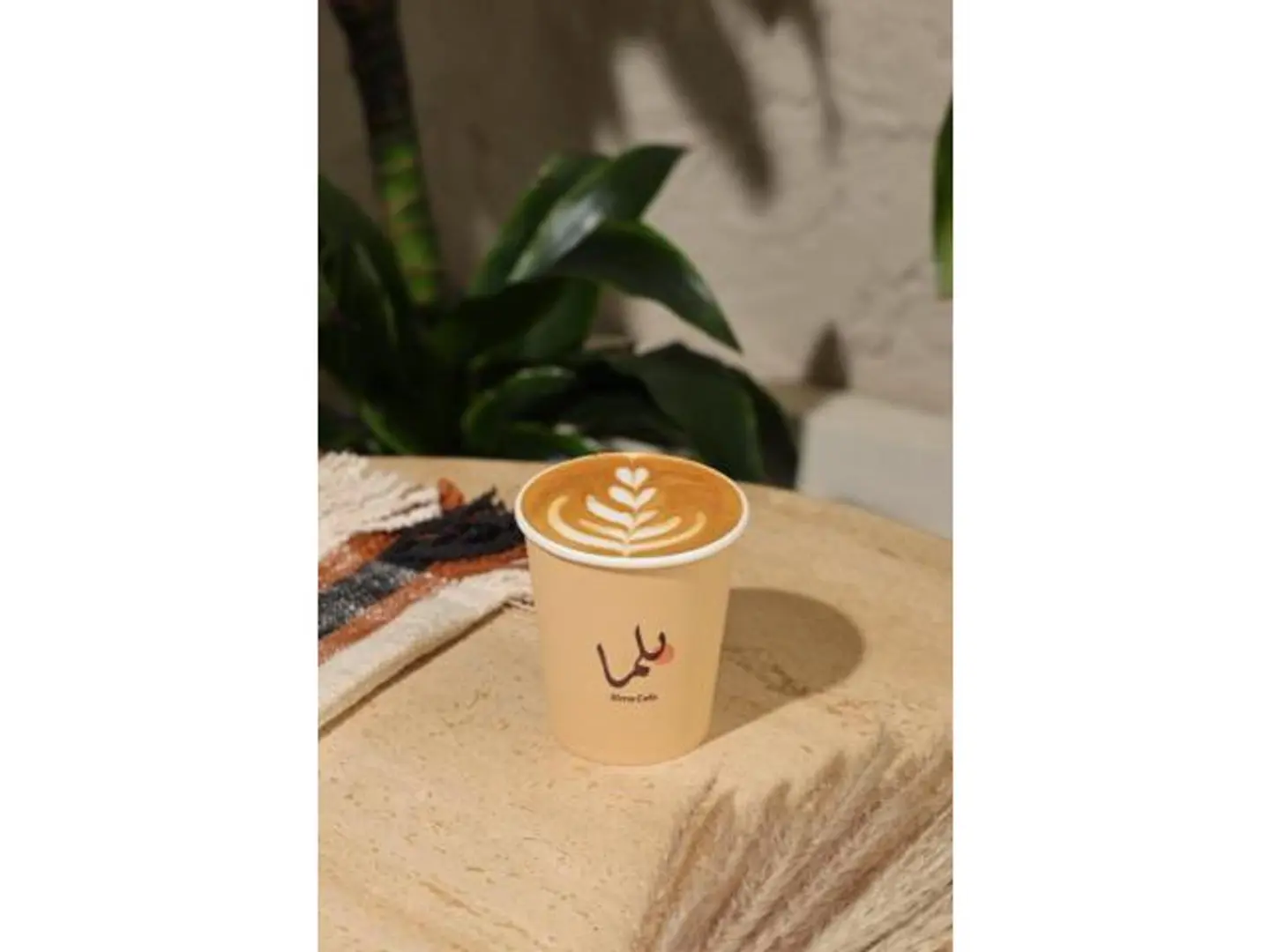 فلات وايت