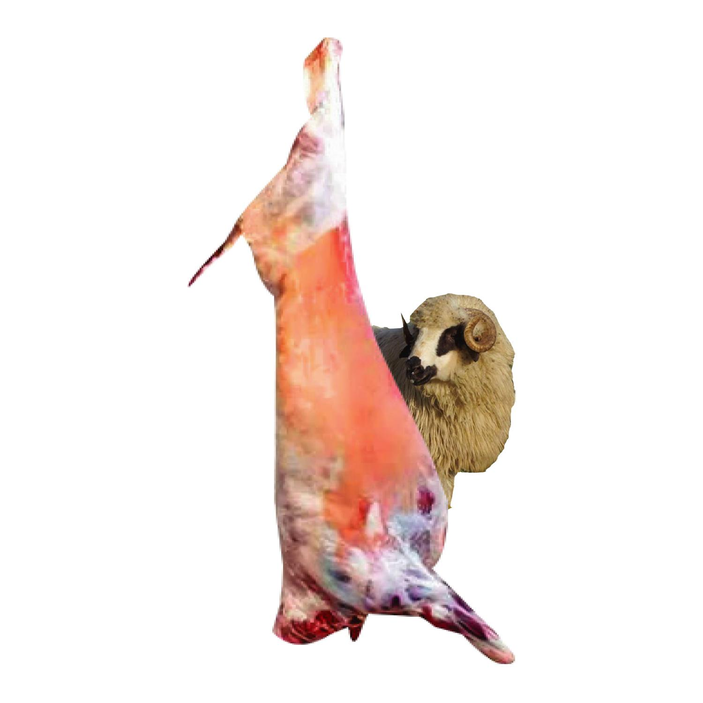 Romanian Whole Lamb Small 17kg To 20kg