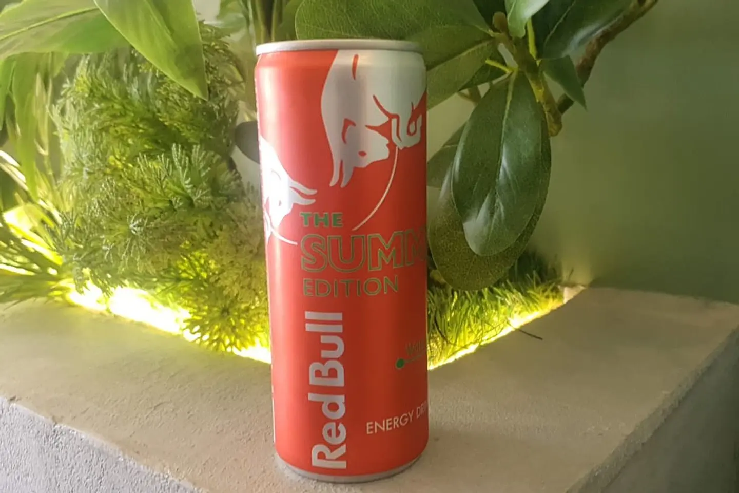 Red Bull Watermelon